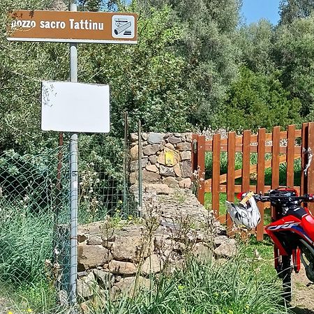 L'Arancio Antico Daire Iglesias Dış mekan fotoğraf